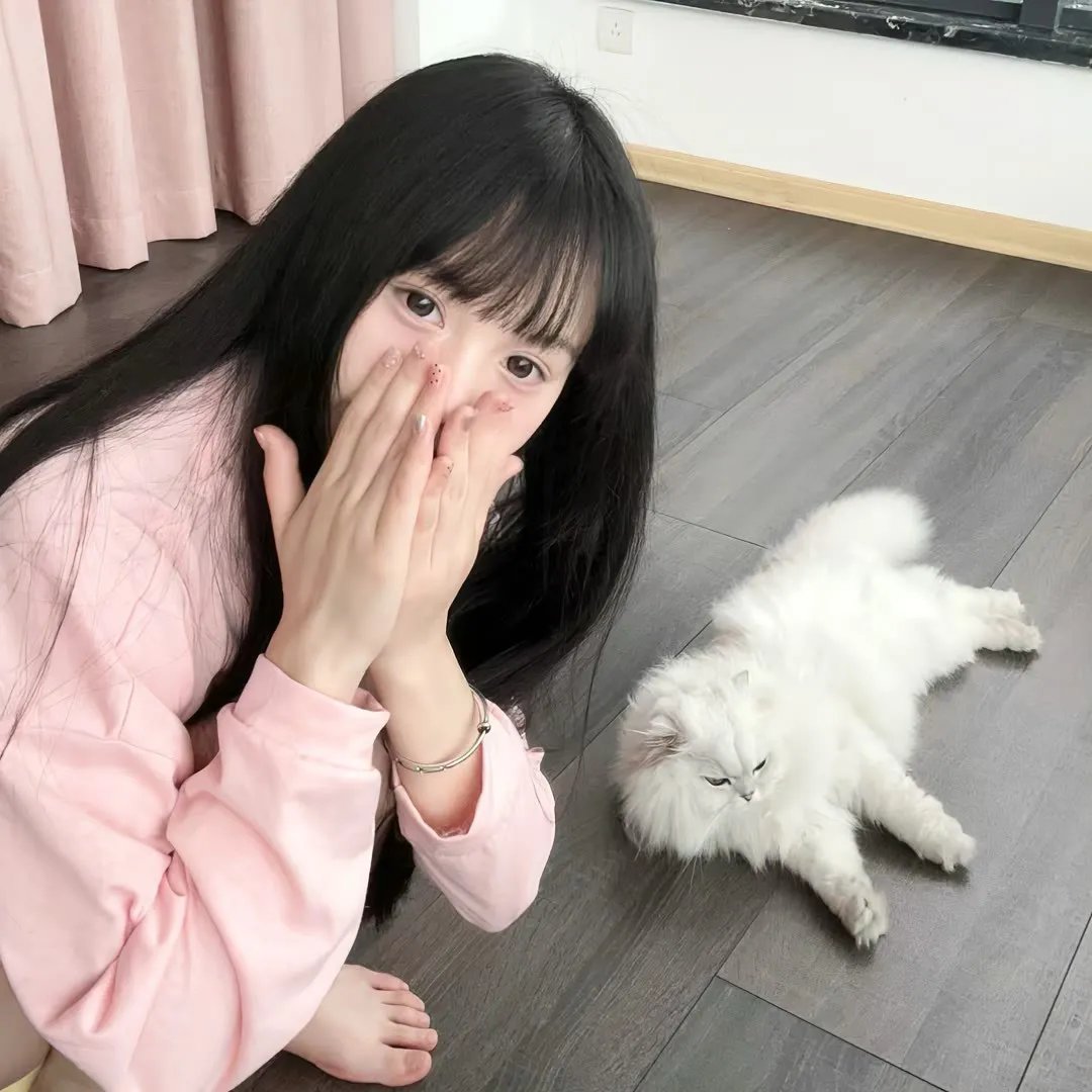 飞起来吧蝴蝶