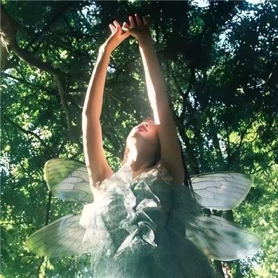 七载霜华：我于风雪中绽放